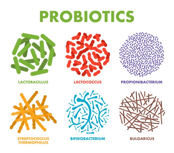 جداسازی و شناسایی پروبیوتیک‌ها