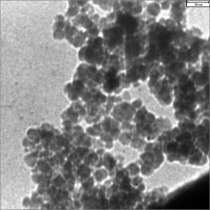 اکسید آهن با پوشش BSA و کونژوگه با آنتی ژن پروستات BSA_TEM