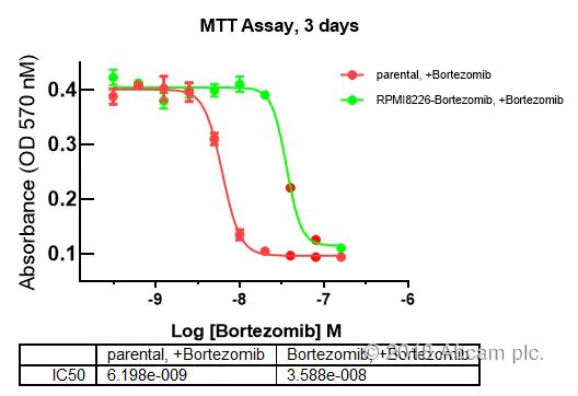 تست MTT-انالیز نتایج
