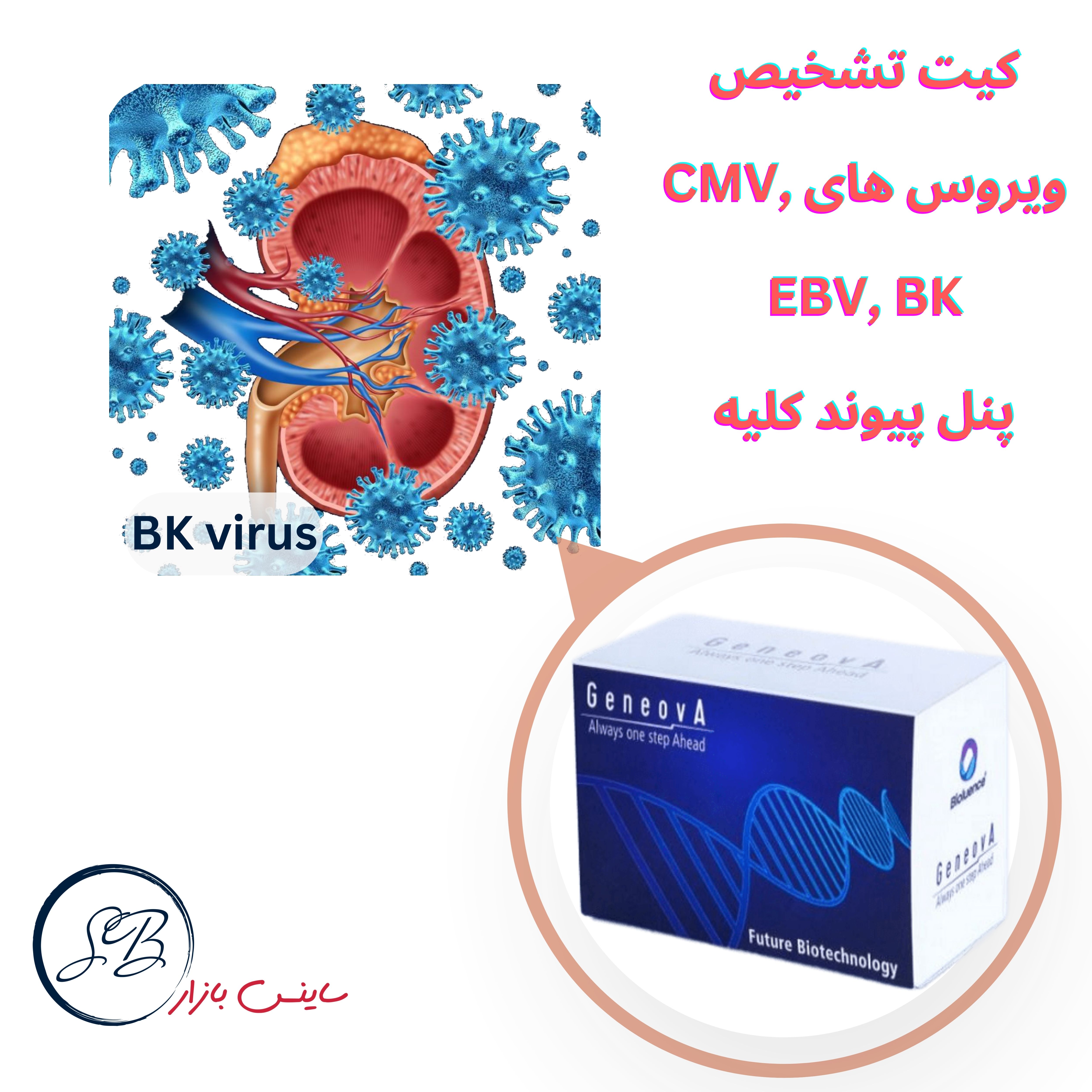 کیت تشخیص ویروس های CMV, EBV, BK