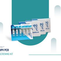 HPV diagnostic kit by screening method (PCR)