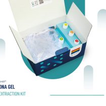DNA extraction kit from gel