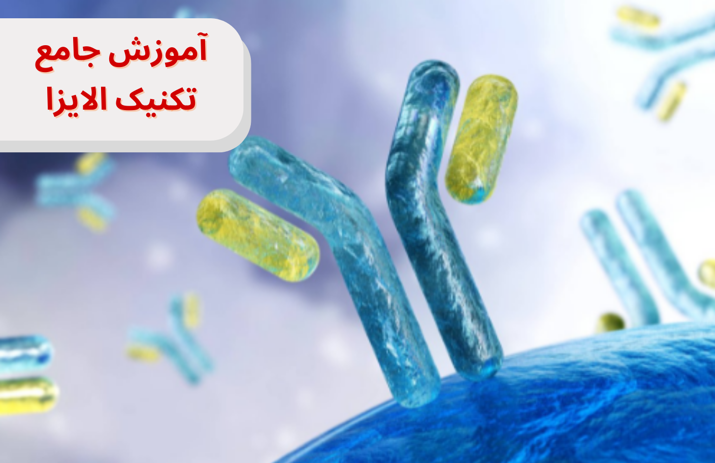 آموزش جامع الایزا