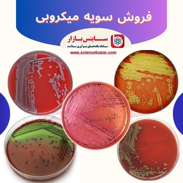فروش سویه میکروبی