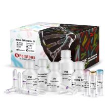 کیت استخراج DNA ژنومی از خون