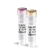 Thermo-resistant H-MMuLV RT