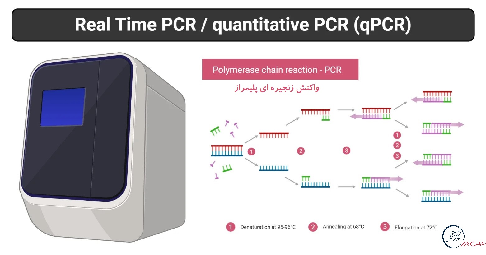 Real-Time-PCR