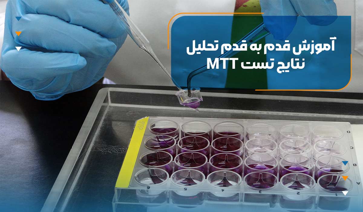 تفسیر نتایج تست MTT