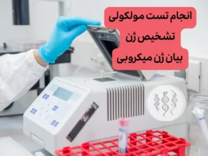pcr ژن های میکروبی