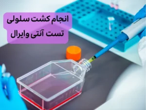 انجام کشت سلول و باکتری