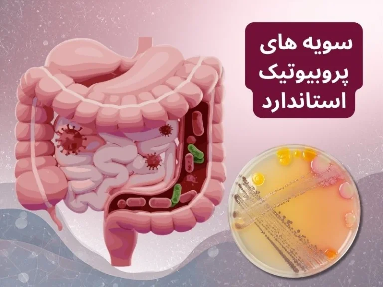 سویه های پروبیوتیک استاندارد