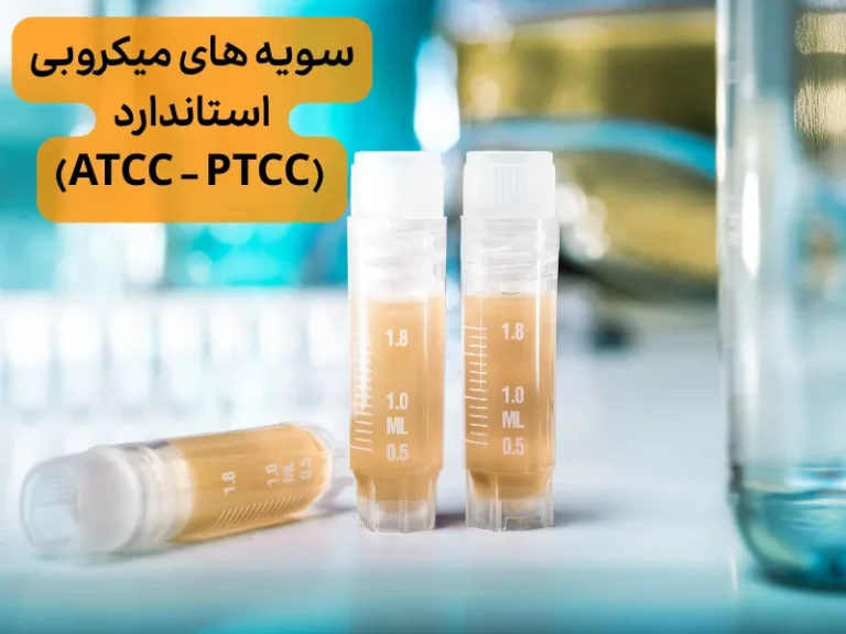 فروش سویه های میکروبی استاندارد
