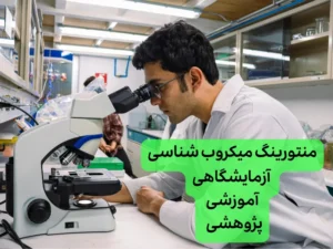 منتورینگ پژوهشی