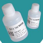 TAE 50X buffer