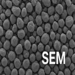 تست SEM نانوذرات
