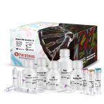 کیت استخراج DNA ژنومی از خون