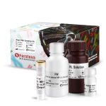Blood RNA Extraction Kit