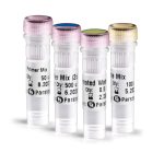 Easy-cDNA-Synthesis-Kit