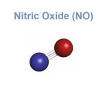 Nitric Oxide (NO)
