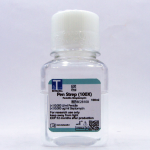 Penicillin Streptomycin