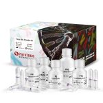 Tissue Genomic DNA Extraction Kit