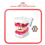 مولاژ دندان نمایش تورم لثه