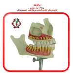 مولاژ فک و دندان