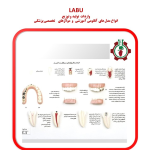 مدل از دندان هایتان مراقبت کنید