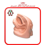 مدل سونداژ زن