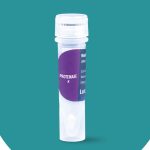 Proteinase K