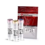 آنزیم DNA پلیمراز هات استارت Taq یا Taq hot start DNA polymerase enzyme