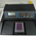 MTT test, cell proliferation and survival test, MTT assay