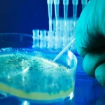 Detoxification Test