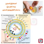 خرید لستین