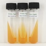 محیط کشت اماده اوره اگار Urea Agar