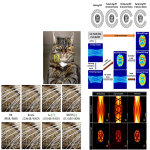 نویز زدایی و بهبود رزولوشن و کیفیت تصاویر Image Super-resolution -