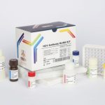 کیت آزمایشگاهی الایزایHCV-Ab.